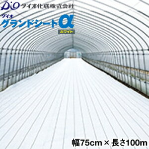 CmxbNX@hV[g@_CIOhV[gzCg@75cm×100m@(h˃V[g)