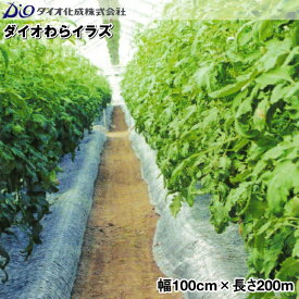 ダイオ化成　防草・下敷資材　ダイオわらイラズ(シルバー)　幅100cm×長さ200m