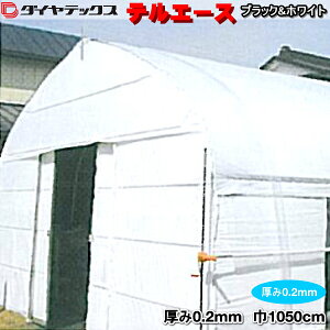 ՌEՔMPOntB@eG[XubNzCg@0.2mm@1050cm@(1mPʐؔ)