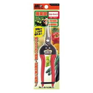 �A���X�@�E�����@�V���[�g�^�C�v�@300S-BP