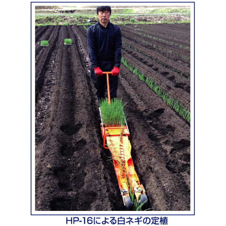 楽天市場】ニッテン チェーンポット簡易移植機 ひっぱりくん HP-16 溝 
