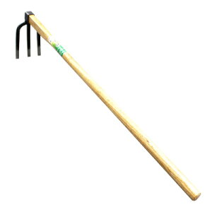 O{L@HC0015@yȂ炵@yx@@N@_