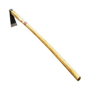 ^PmRL@HC0014@n@@N@|̎q@⡁@̂