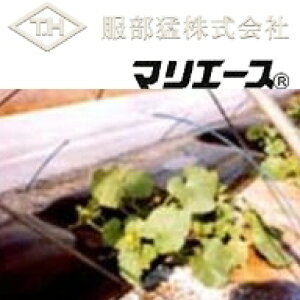 _ƗpsDz }G[X E05030 () 90cm×100m