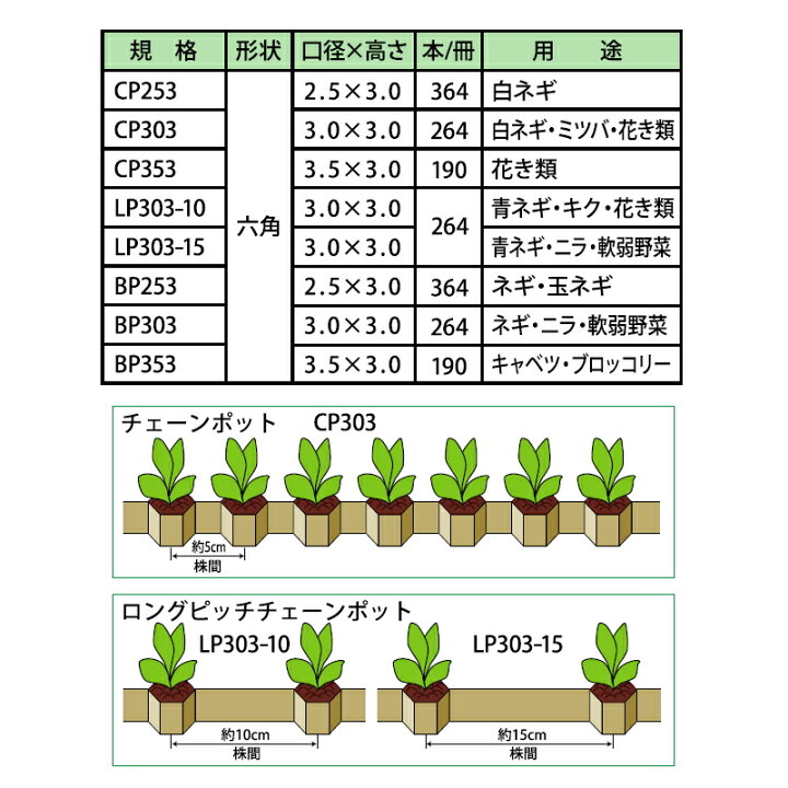 楽天市場】ニッテン チェーンポット CP303 径3cm×高3cm 株間5cm 穴数 