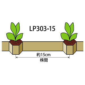 jbe@Osb``F[|bg@LP303-15@a3cm×3cm@15cm@264@ȃP[X̔75@lM j 