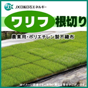 ΁@؂胏t@N-1400@140cm×50m