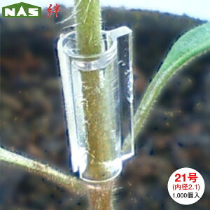 �y�l�R�|�X�� 2�܂Łz�i�X�j�b�N�X�@�ږؗp�z���_�[�@�J�@(������)�@21���@���a2.1mm�@1000��