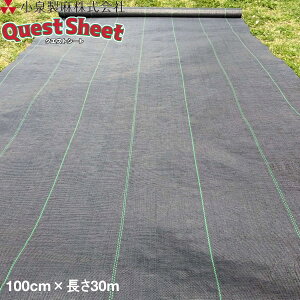 KOIZUMI (򐻖)@hV[g@NGXgV[g@@1m×30m@ G}