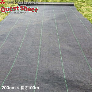 KOIZUMI (򐻖)@hV[g@NGXgV[g@@2m×100m@ G}