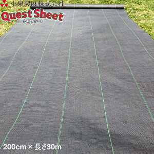 KOIZUMI (򐻖)@hV[g@NGXgV[g@@2m×30m@ G}