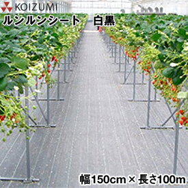 KOIZUMI (小泉製麻)　防草シート　ルンルンシート　白黒　幅150cm×長さ100m