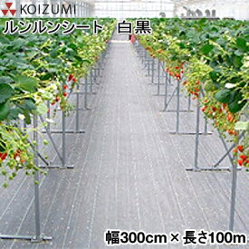 KOIZUMI (小泉製麻)　防草シート　ルンルンシート　白黒　幅300cm×長さ100m　(反物)