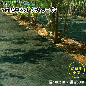 ]ҐDHƊЁ@YM hlbg NTg[YG@×@100cm×50m