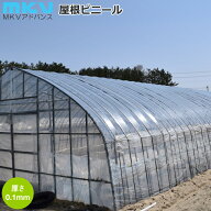 MKV　農ビ ENGEI　屋根ビニール　厚さ0.1mm　間口3間（幅660cm）　奥行（長さ）を選択してください