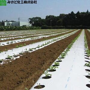 ݂ǉH }`@`[nV iCHj@0.025mm@180cm×200m@E@2{Zbg
