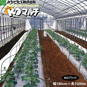 ݂ǉH KO}`@iKOBj@0.02mm@180cm×200m@E@2{Zbg