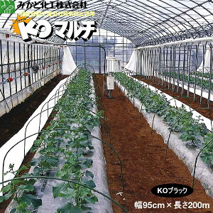 ݂ǉH KO}`@iKOBj@0.02mm@95cm×200m@E@5{Zbg