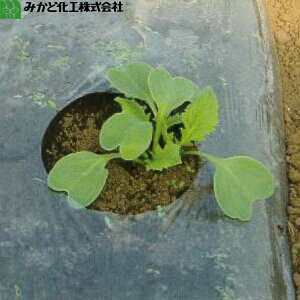 ݂ǉH MITX@0.02mm@135cm×200m@E@5{Zbg@(n㏸}`)