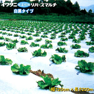 C^jo[X}`(}`)@0.023mm@120cm×200m@3{Zbg