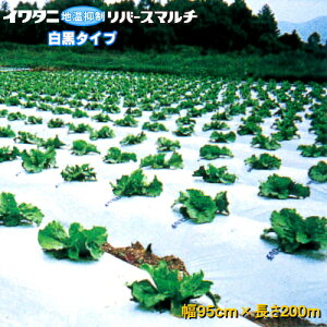 C^jo[X}`(}`)@0.023mm@95cm×200m@5{Zbg