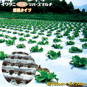 C^jo[X}`(⍕}`)@0.023mm@135cm×200m@3{Zbg