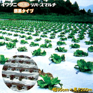 C^jo[X}`(⍕}`)@0.023mm@95cm×200m@5{Zbg