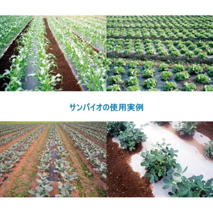 楽天市場】サンプラック工業 生分解マルチ サンバイオ 9230 黒 中穴 
