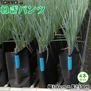 CL@˂͔|pՌV[g@˂pc@100cm×100m@4{Zbg