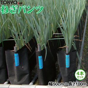 CL@˂͔|pՌV[g@˂pc@50cm×100m@4{Zbg