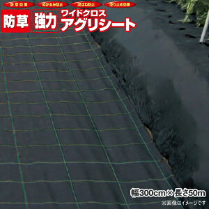 {ChNX@̓AOV[g@BB2218@(hV[g)@@3m×50m@xD@iqC@@l(lzsi)