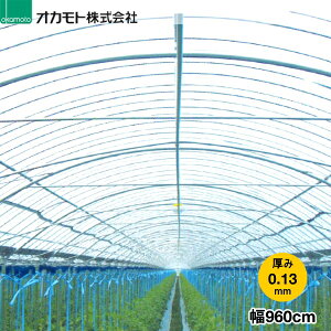 _ƗpPOtB@N[\tg@R[gNew@0.13mm@960cm@]̒(m)𐔗ʂœ͂Ă