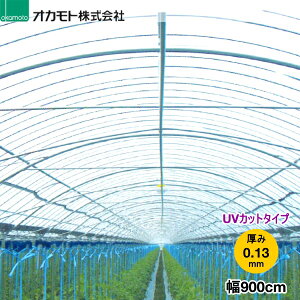 _ƗpPOtB@N[\tg@R[gNew UVC@0.13mm@900cm@]̒(m)𐔗ʂœ͂Ă