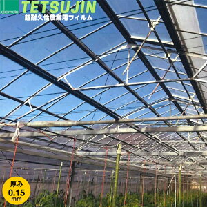 _ƗpPOtB@TETSUJIN ecW@0.15mm@IʂŒ(m)