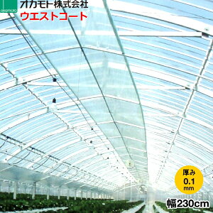 _ƗpPOtB@hz^@EGXgR[g NEO@0.1mm@230cm@]̒(m)𐔗ʂœ͂Ă