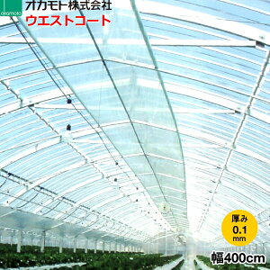 _ƗpPOtB@hz^@EGXgR[g NEO@0.1mm@400cm@]̒(m)𐔗ʂœ͂Ă