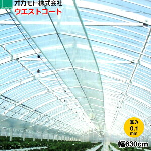 _ƗpPOtB@hz^@EGXgR[g NEO@0.1mm@630cm@]̒(m)𐔗ʂœ͂Ă