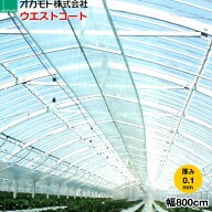 農業用POフィルム　塗布型　ウエストコート NEO　厚さ0.1mm　幅800cm　ご希望の長さ(m)を数量で入力して…