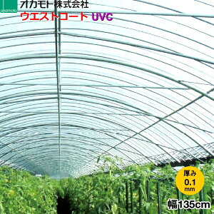�_�ƗpPO�t�B�����@�h�z�^�@�E�G�X�g�R�[�g NEO UVC�@����0.1mm�@��135cm�@����]�̒���(m)�𐔗ʂœ��͂��Ă�������