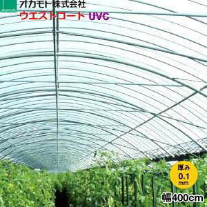 �_�ƗpPO�t�B�����@�h�z�^�@�E�G�X�g�R�[�g NEO UVC�@����0.1mm�@��400cm�@����]�̒���(m)�𐔗ʂœ��͂��Ă�������