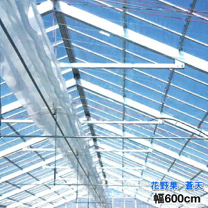 hz^Cv_POtB@Ԗʁ@V@0.15mm@600cm@]̒(m)𐔗ʂœ