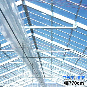 hz^Cv_POtB@Ԗʁ@V@0.15mm@770cm@]̒(m)𐔗ʂœ