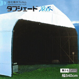 Hܓhz^ՌtB@^tVF[h@@zCg×O[^Cv@0.15mm@540cm@]̒(m)𐔗ʂœ