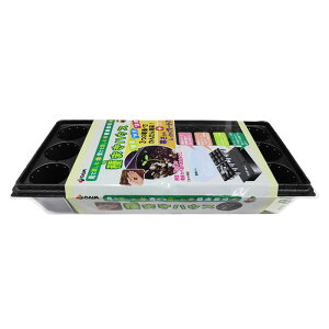 DAIM@܂nEX 445×230mm