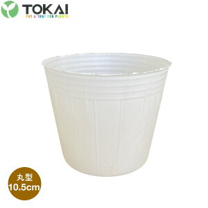 TOKAI@oCI}X|bg@10.5cm@3000@(ꌊ1)