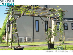 ϐ@ʎI@t[cp[S@KING@uE(ؖڒ)@gLbgi