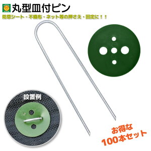 ی^Mts@15cm@100{@ΊەthV[gs