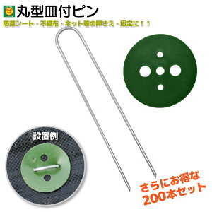 ی^Mts@20cm@ɂ200{@ΊەthV[gs