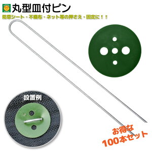 ی^Mts@30cm@100{@ΊەthV[gs