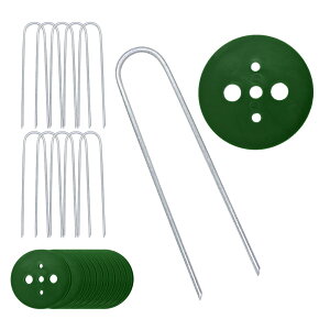 ylR|X 3܂Łzی^Mts@15cm@10{@ΊەthV[gs